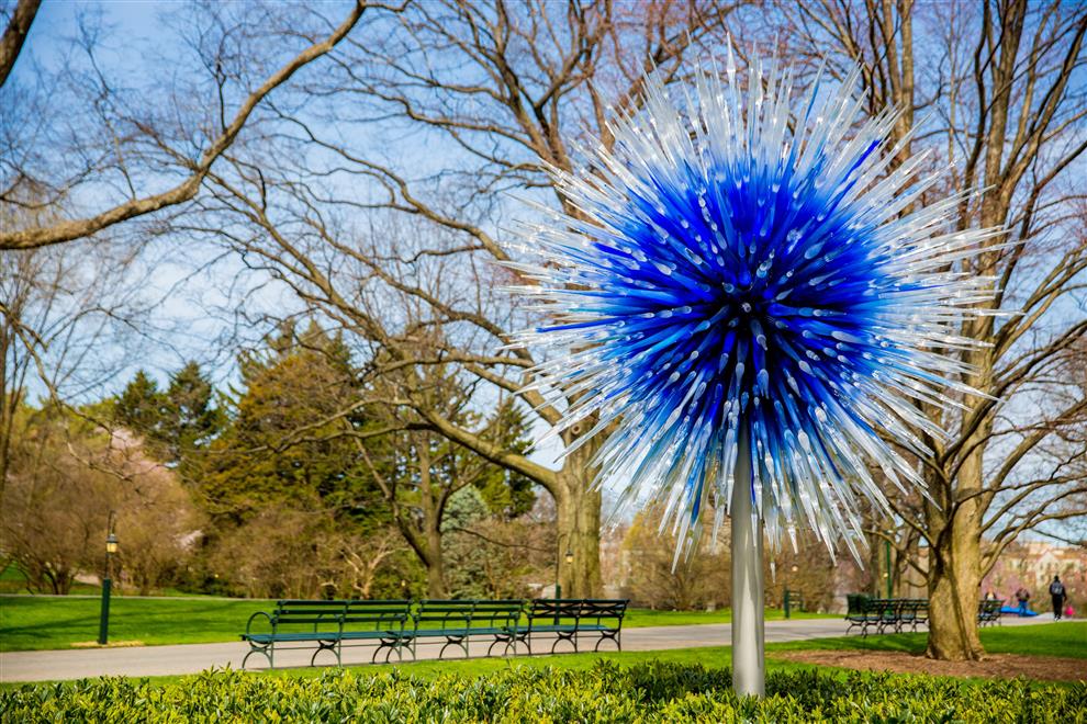 Dale Chihuly The Master of Glass Art